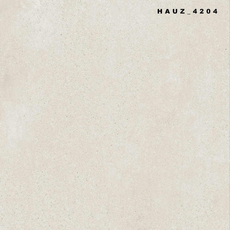 Tile Hauz-4205 60x60