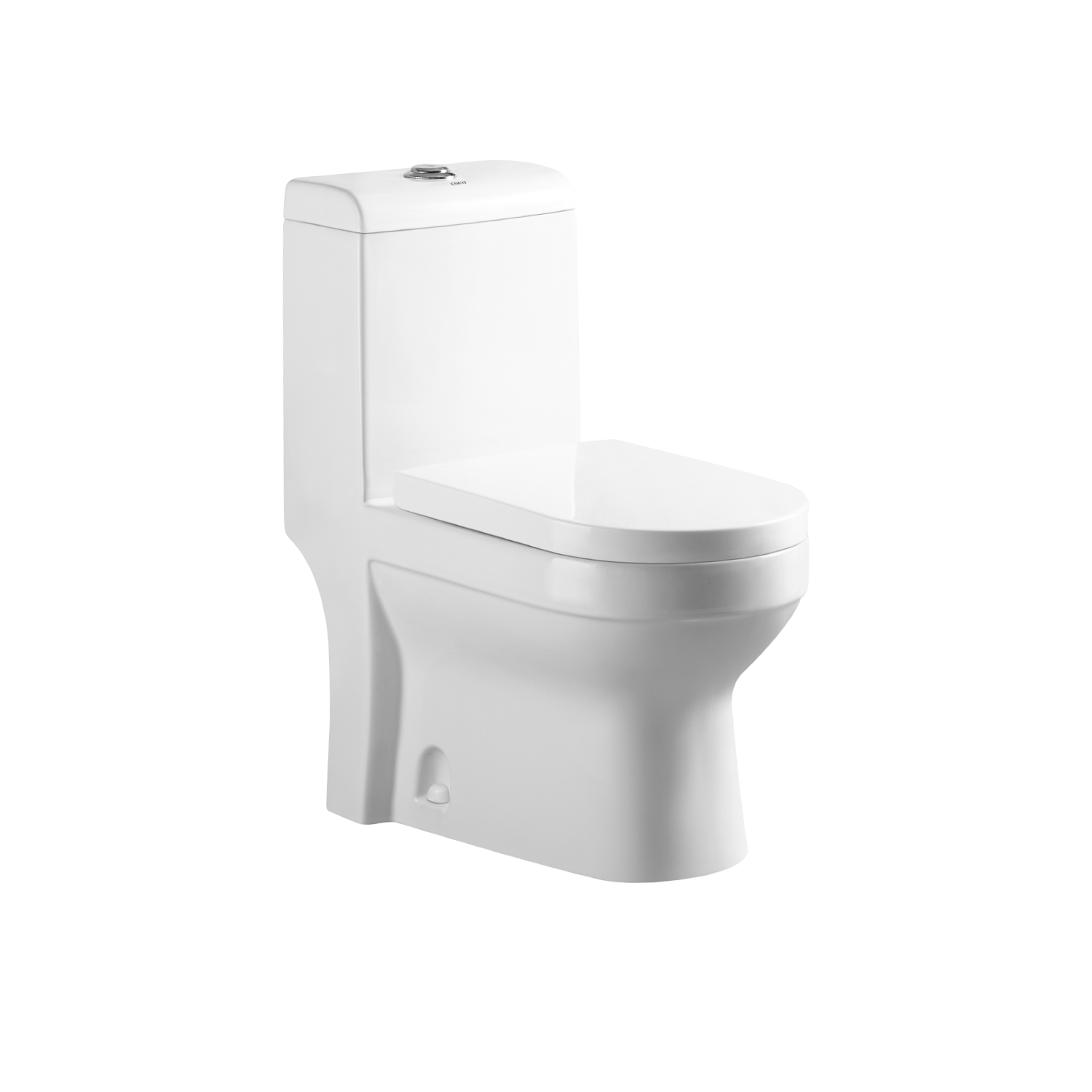 Single Piece S-Trap Toilet