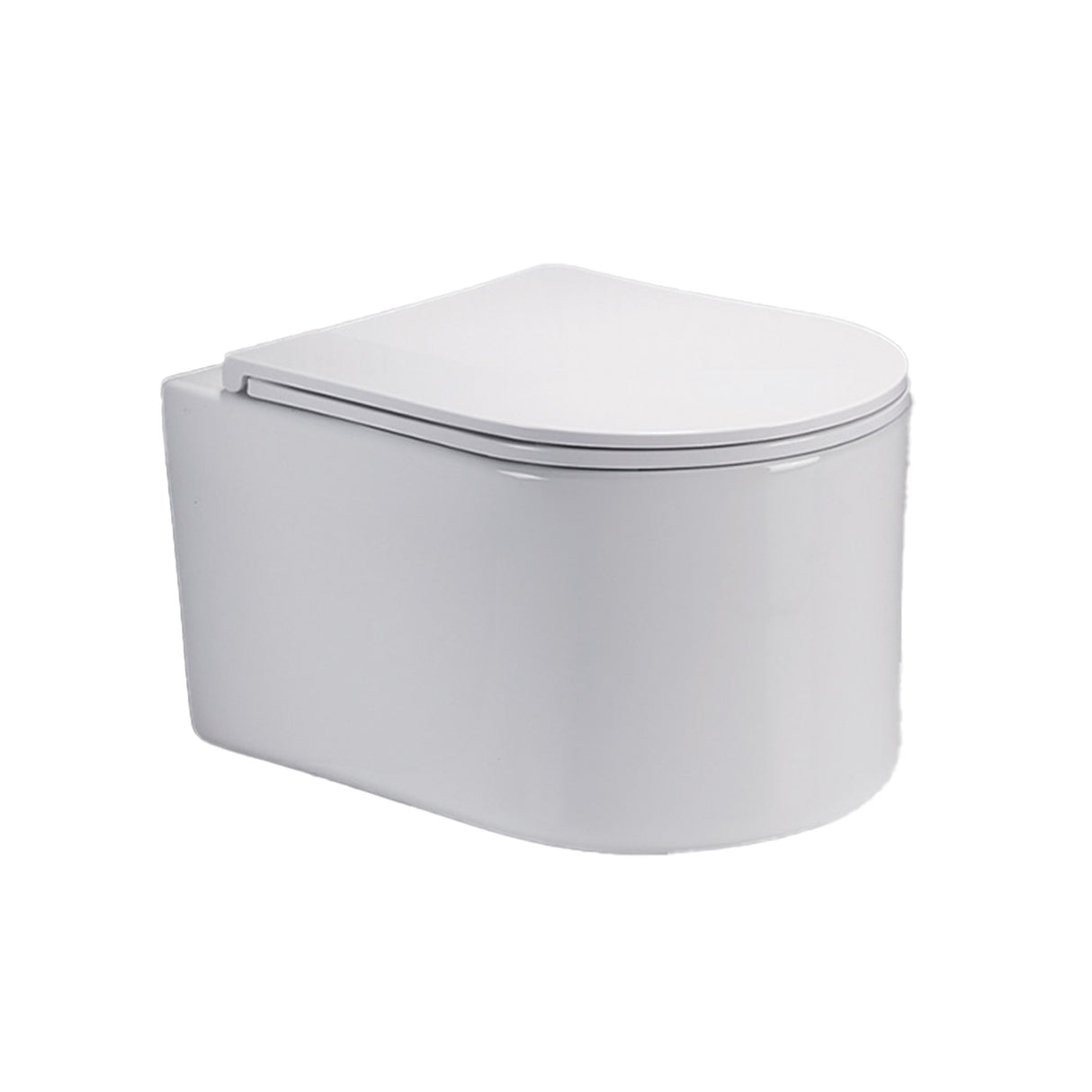 Wall Hung Toilet