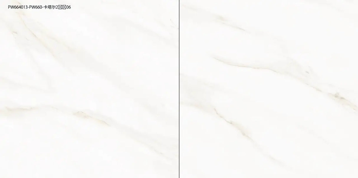 Tile PW664013 Glossy 60x60