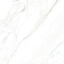 Tile-Calacatta Michael (White body super white)