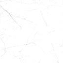 Tile-NZ. Marmi Polished Pul