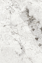 Tile- Riflesso White (PG)