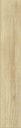 Tile- ARBOR Betulla Nat R