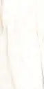 1200*2400 - Bianco Oro (Softtech) (1,2.88)