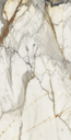 Tile-Golden Calcutta Polished
