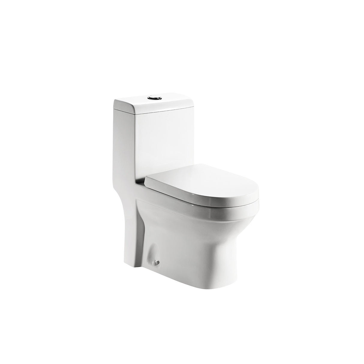Single Piece S-Trap Toilet
