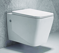 White Wall Hung Toilet