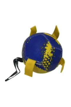 SYNDICATE Foot Ball Pet Ball Small