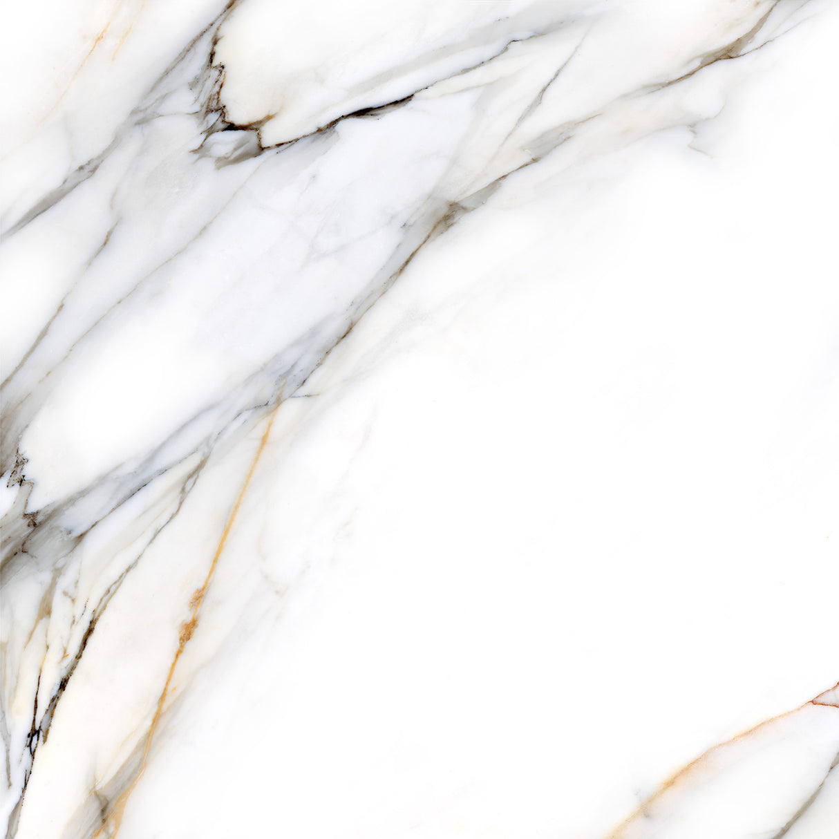 Tile- CC.Calacatta Gold Rect PU.White