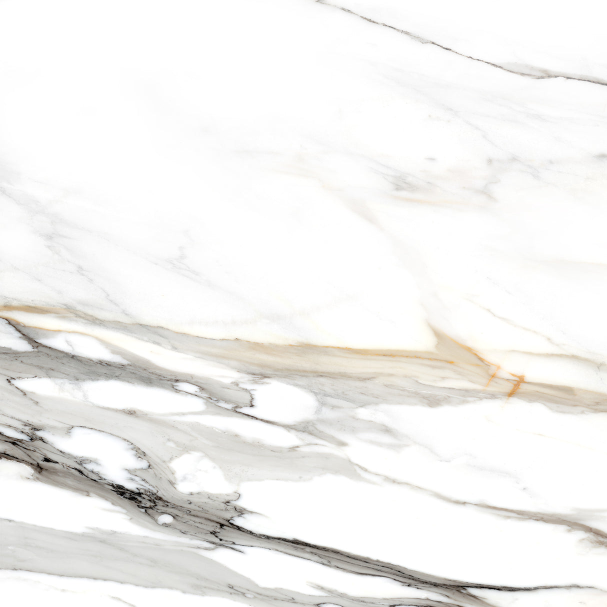 Tile- CC.Calacatta Gold Rect PU.White