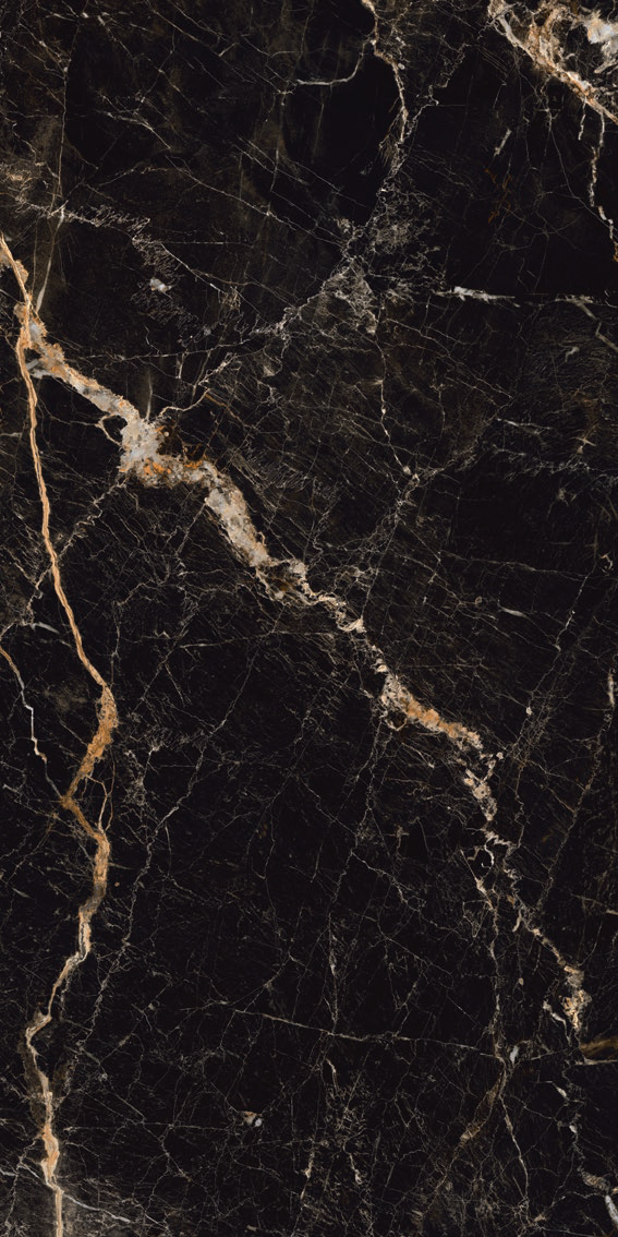 TileDecor Windsor Black A NPlus 598×1198