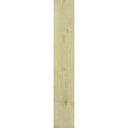 165*1000 Eternal Wood Beige (7,1.155)