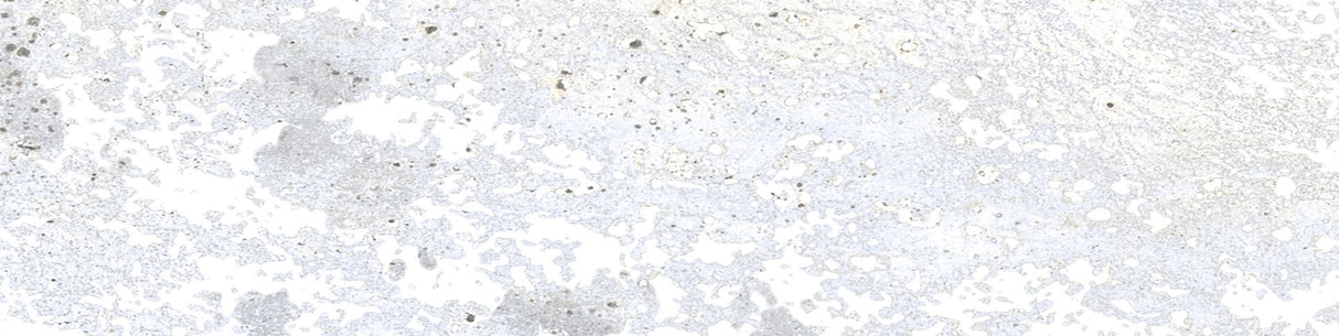 7.5*30 Alpes Grey (22,0.50)