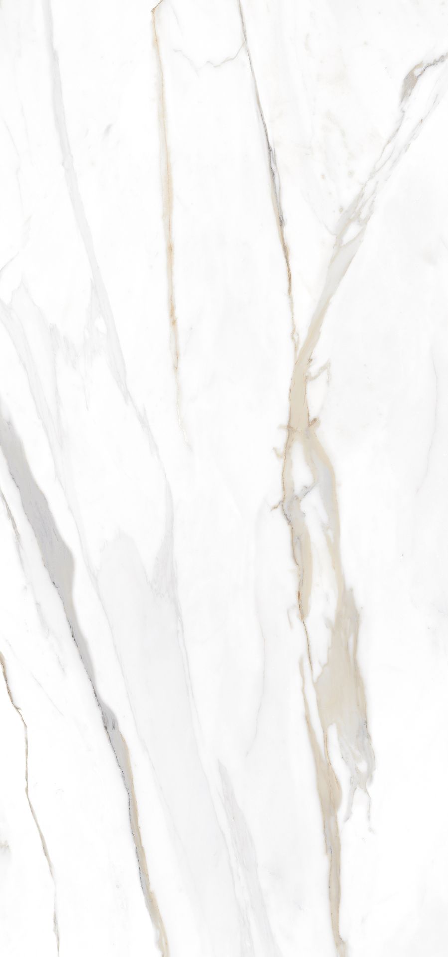 Tile TU Emporio Calacatta 60x120