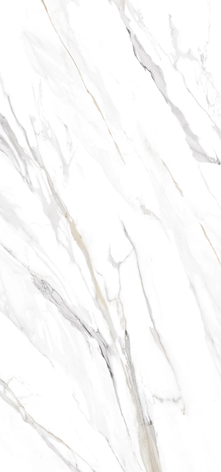 Tile TU Emporio Calacatta 60x120