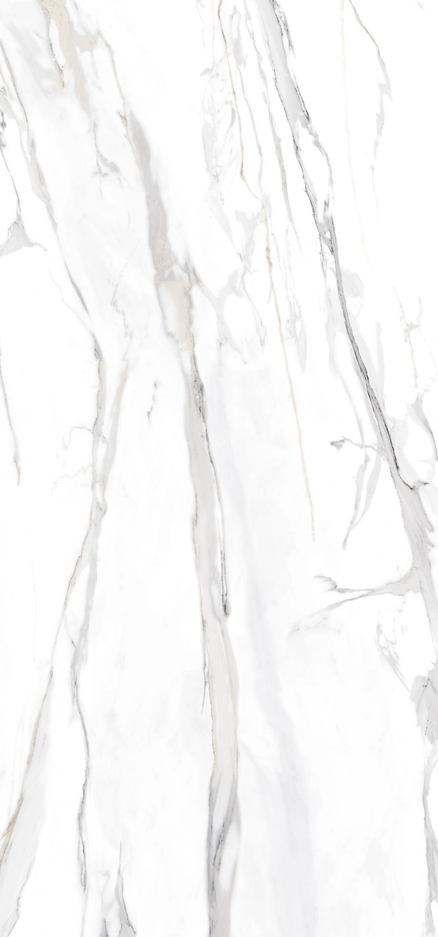 Tile TU Emporio Calacatta 60x120