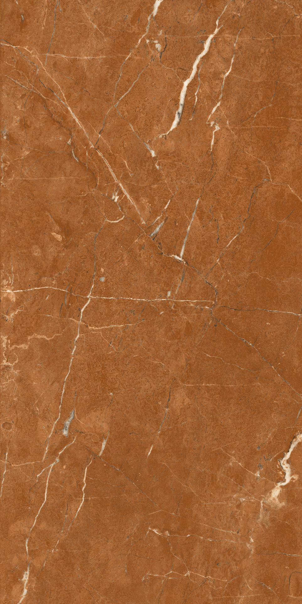 1598*798 Alicante Rojo (2,2.55)