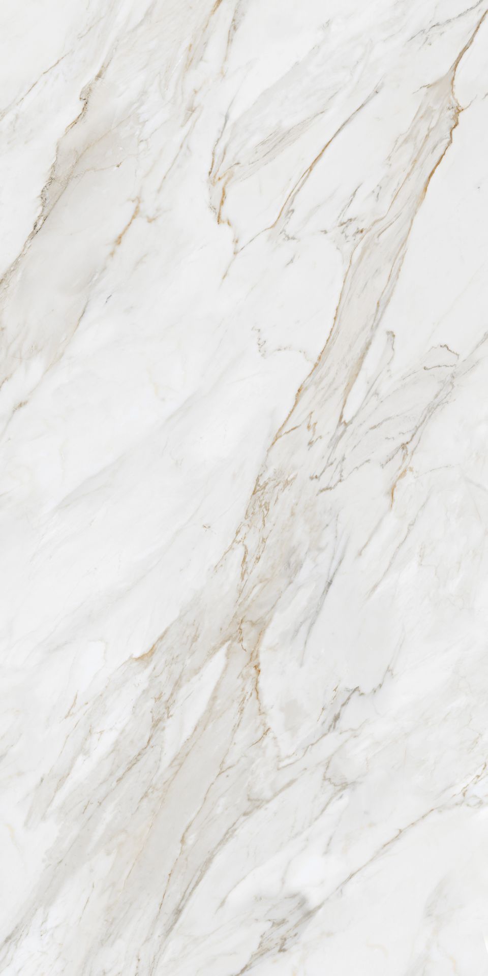 Tile-Calacutta Borghini A