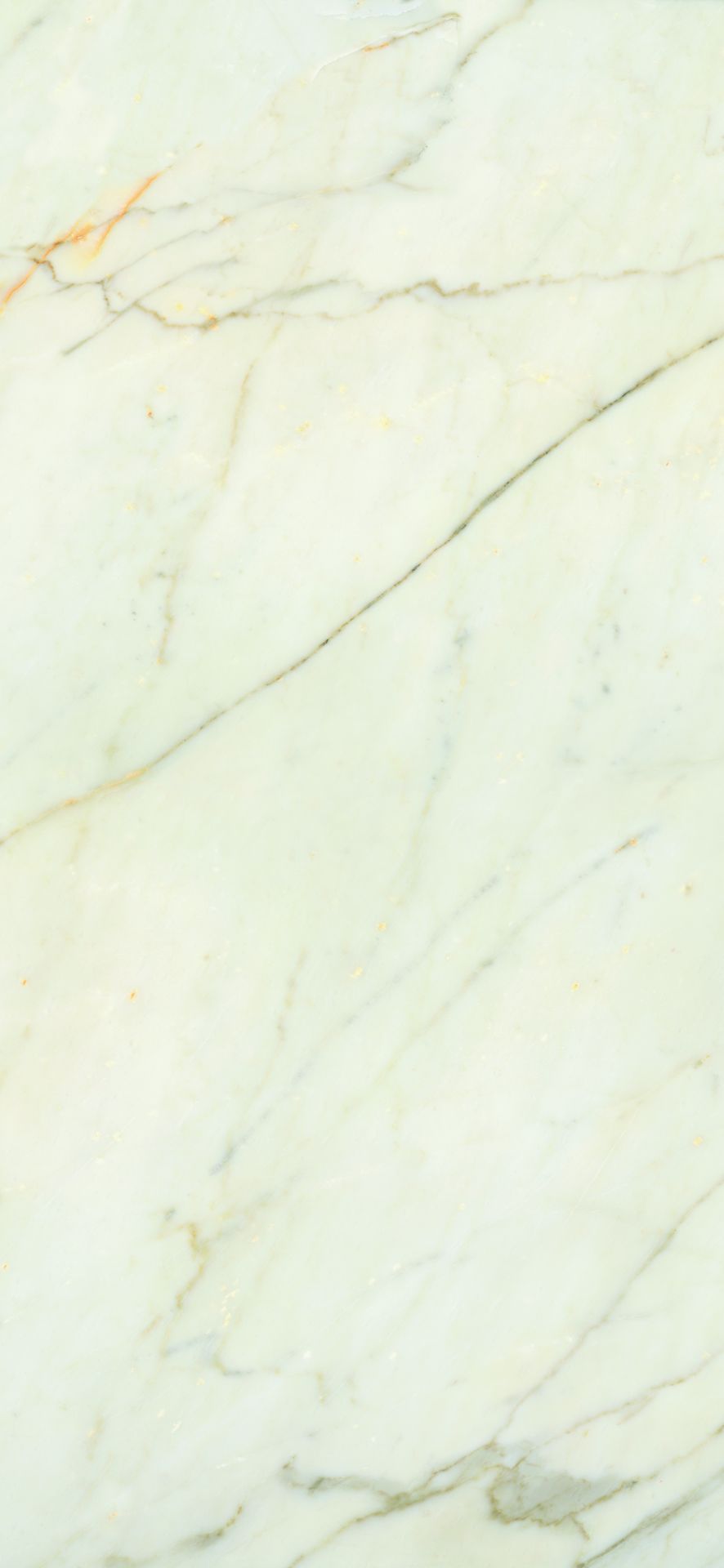 Tile-AP Slow Pol Calacatta