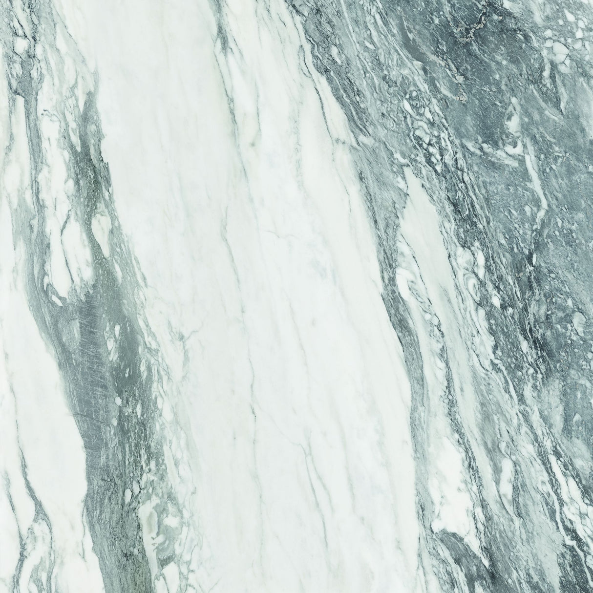 Tile-CF Thasos White Pulido Pul