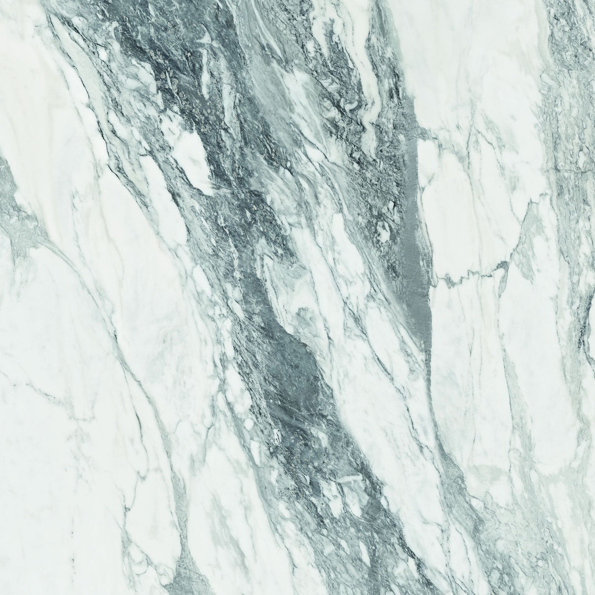 Tile-CF Thasos White Pulido Pul