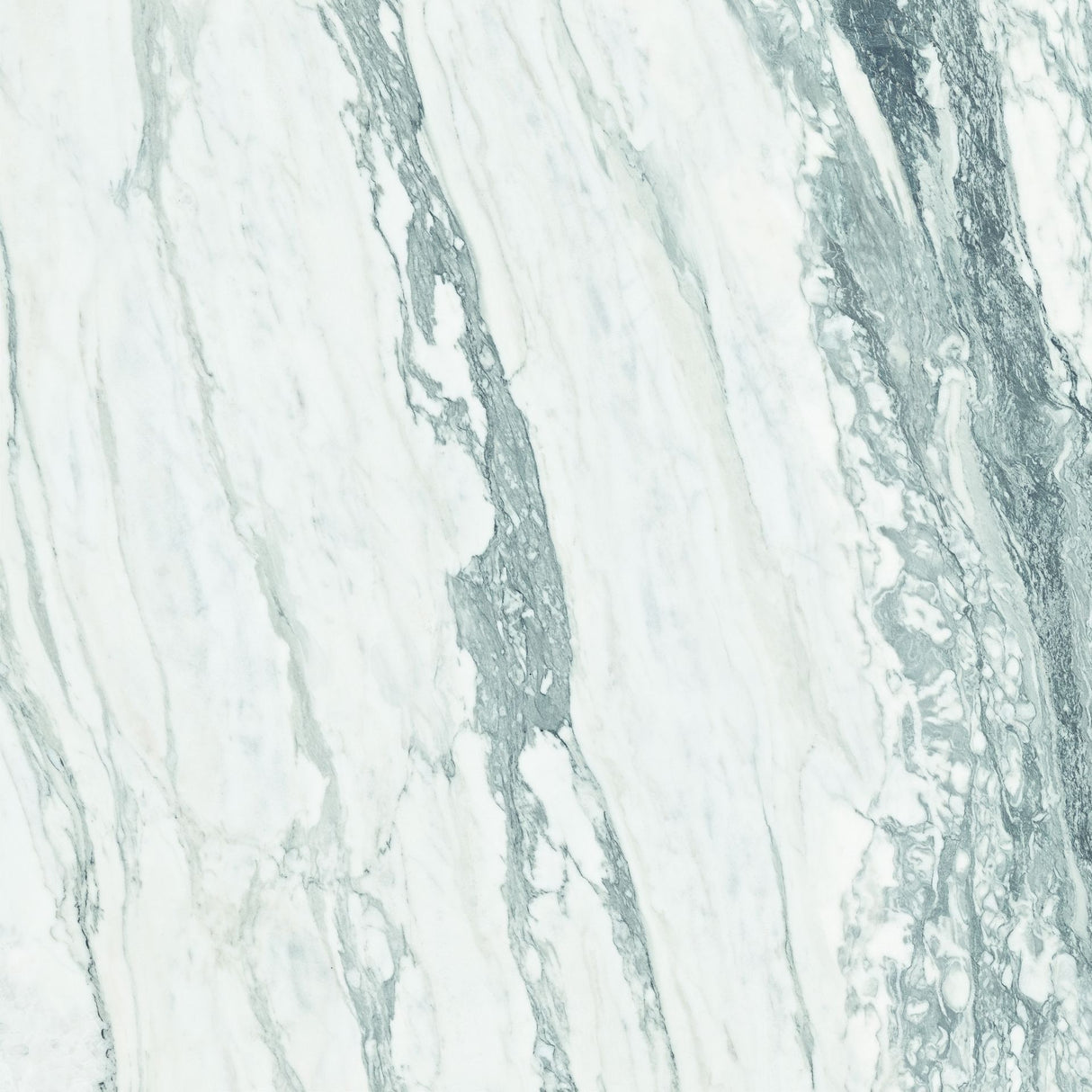 Tile-CF Thasos White Pulido Pul