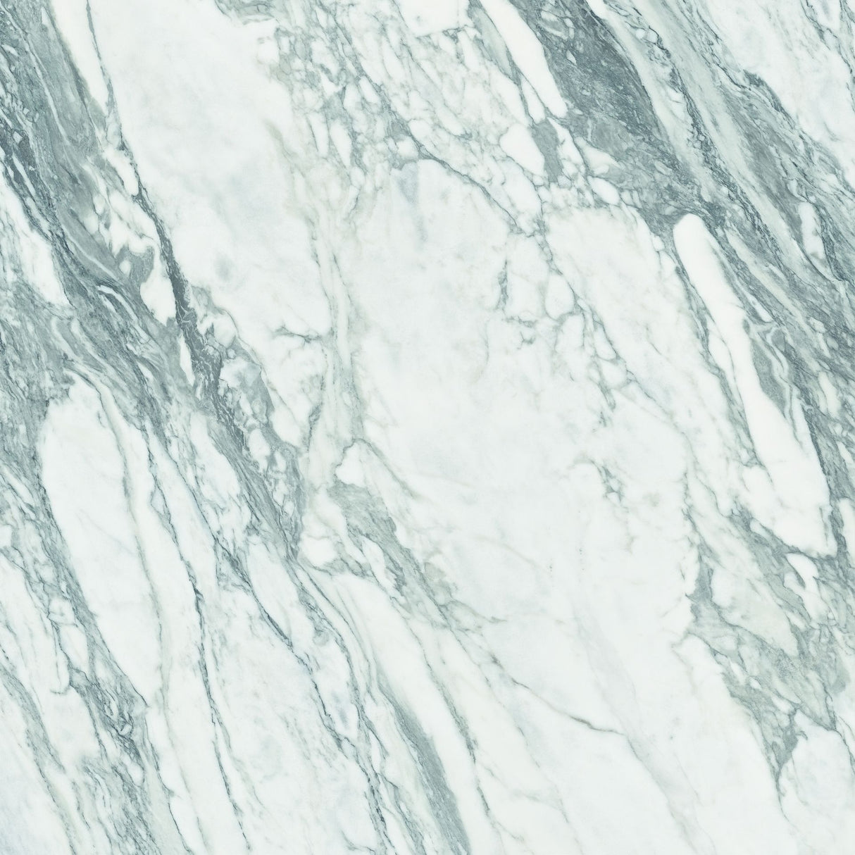 Tile-CF Thasos White Pulido Pul