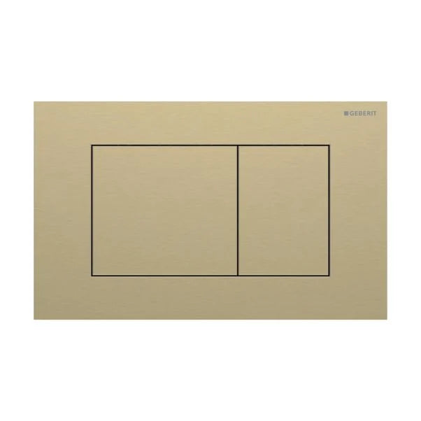 Sigma40 Dual Flush Plate