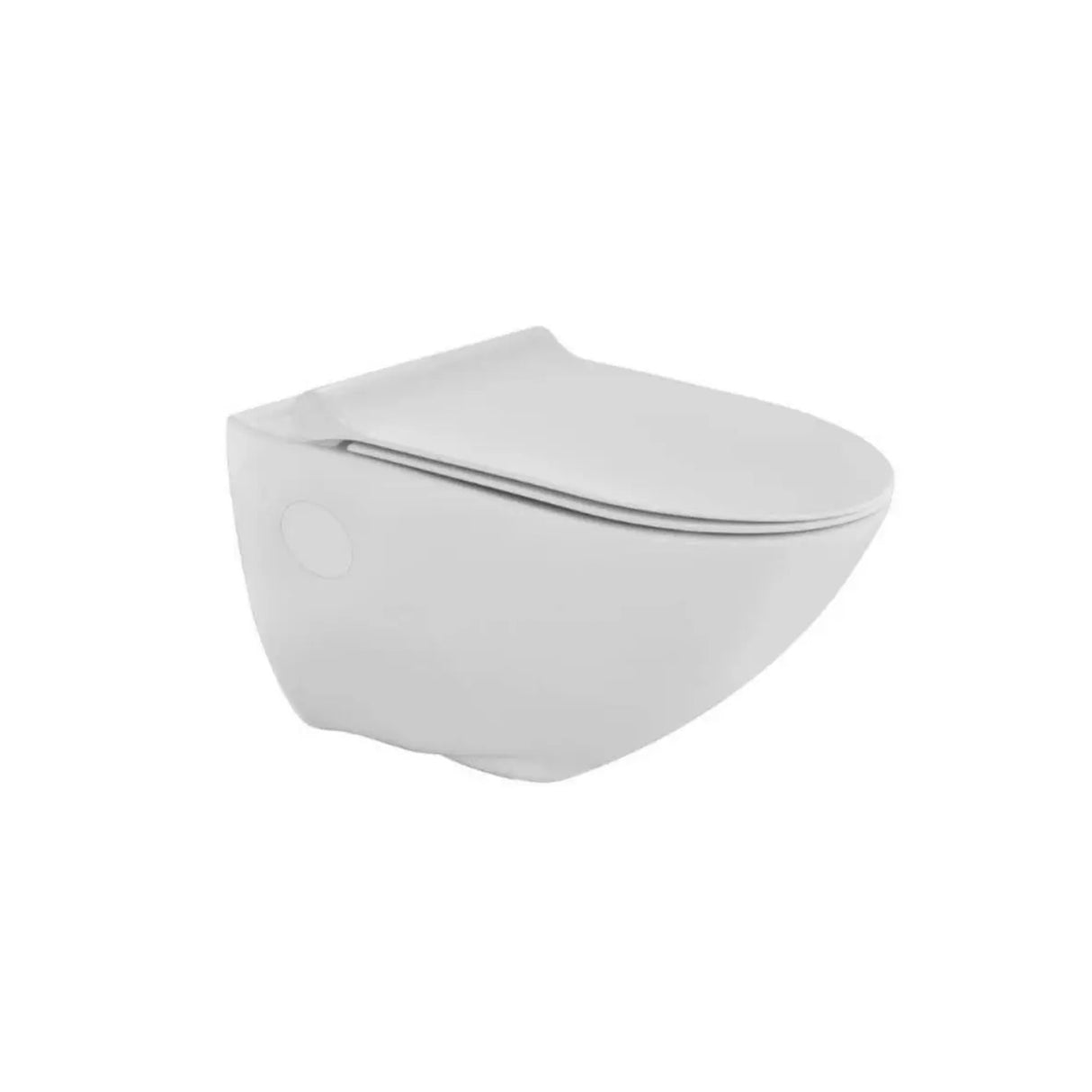 Rimless Wall Hung WC