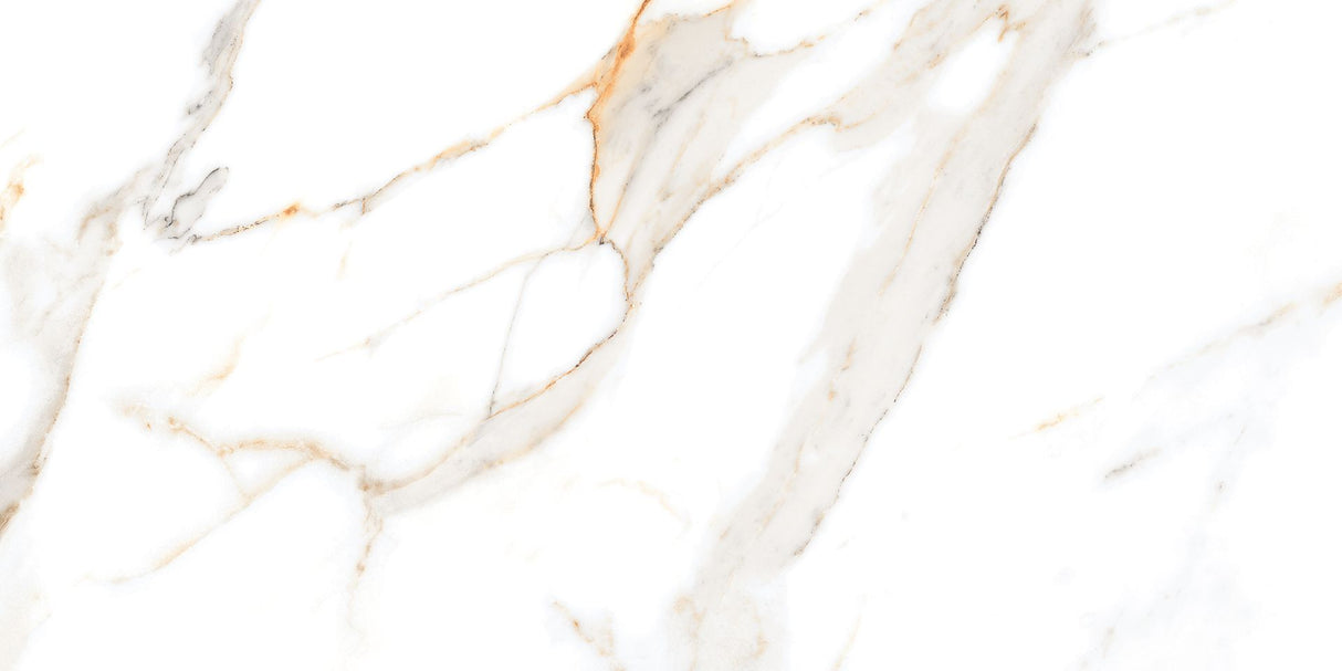 1600*800 Pgvt Miami Natural (8Random) (2,2.56)