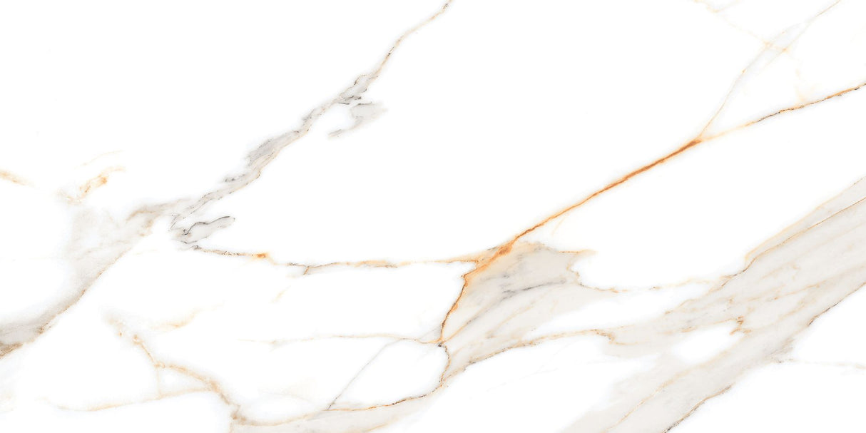 1600*800 Pgvt Miami Natural (8Random) (2,2.56)