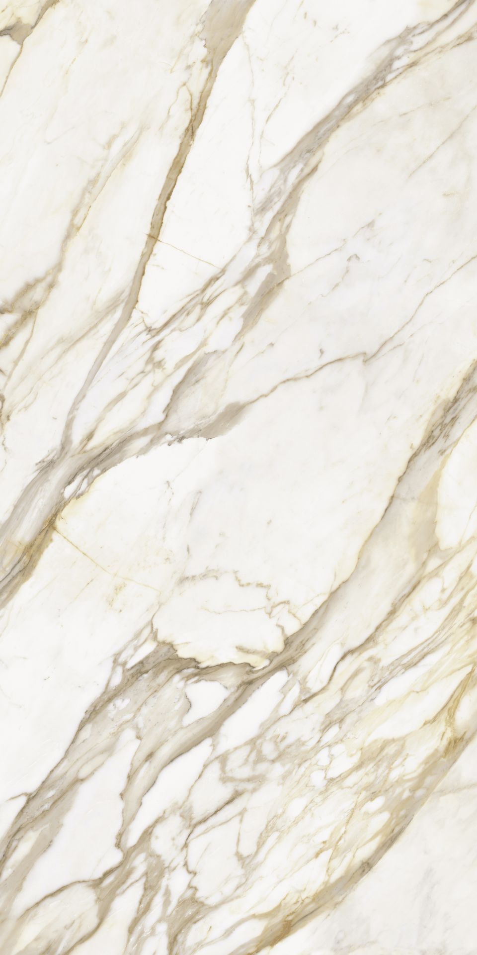 3200×1600 Calac Oro Lap – 6SP Slab