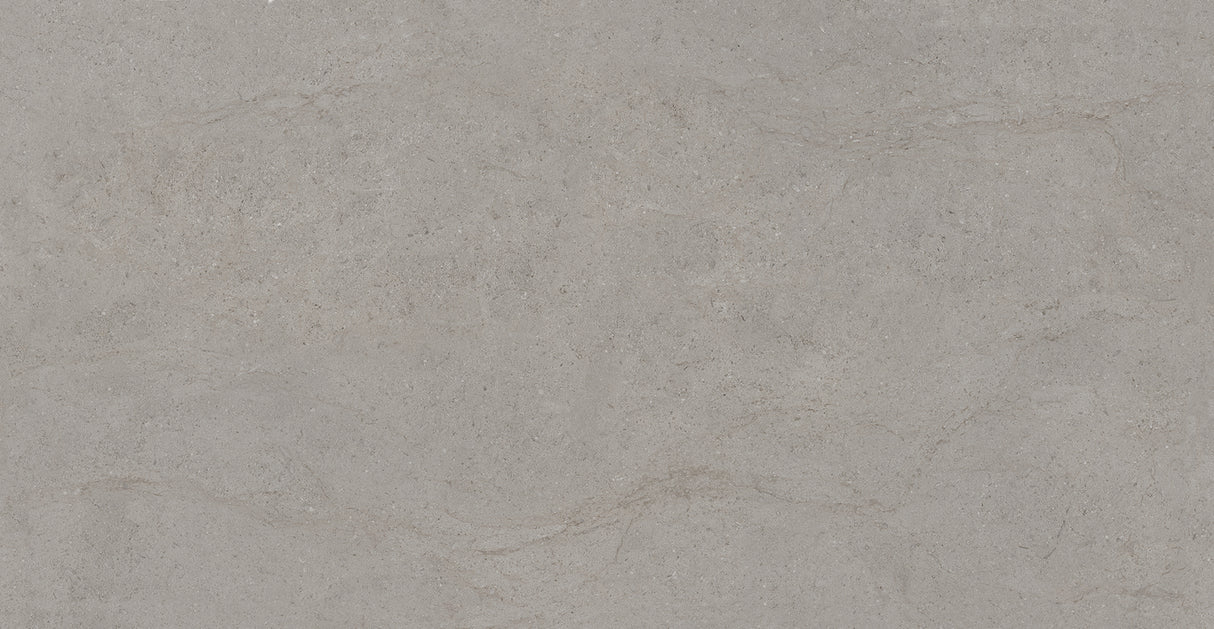 Hudson Grey Rect Matt 595×1192 Tile