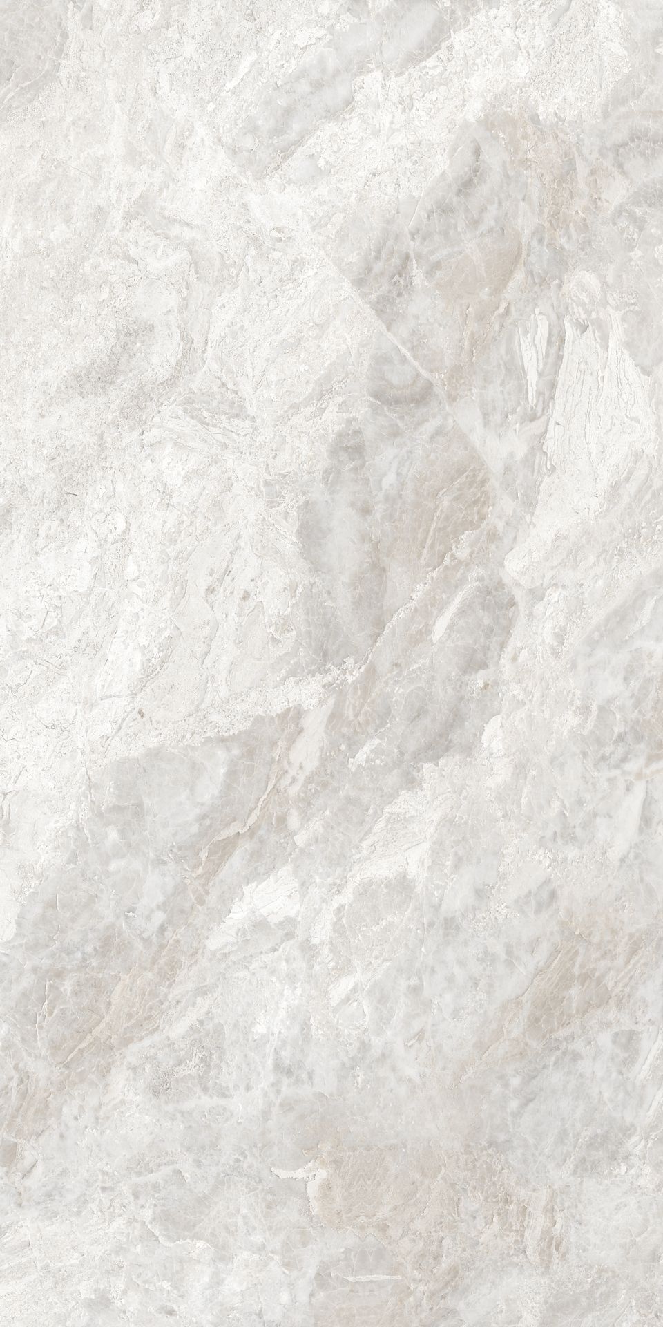 Marmo Dove 798×1598 Polished Tile