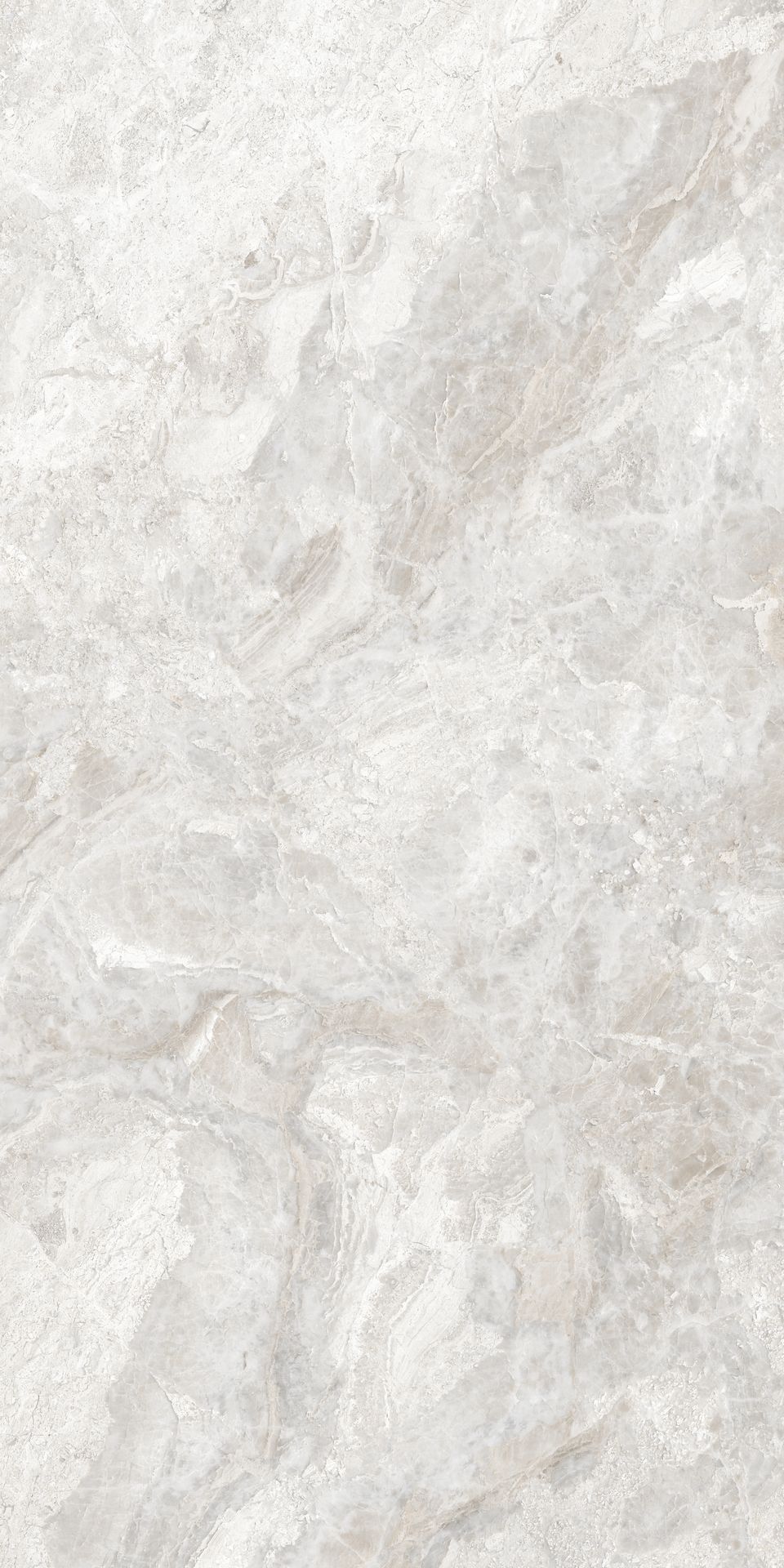 Marmo Dove 798×1598 Polished Tile