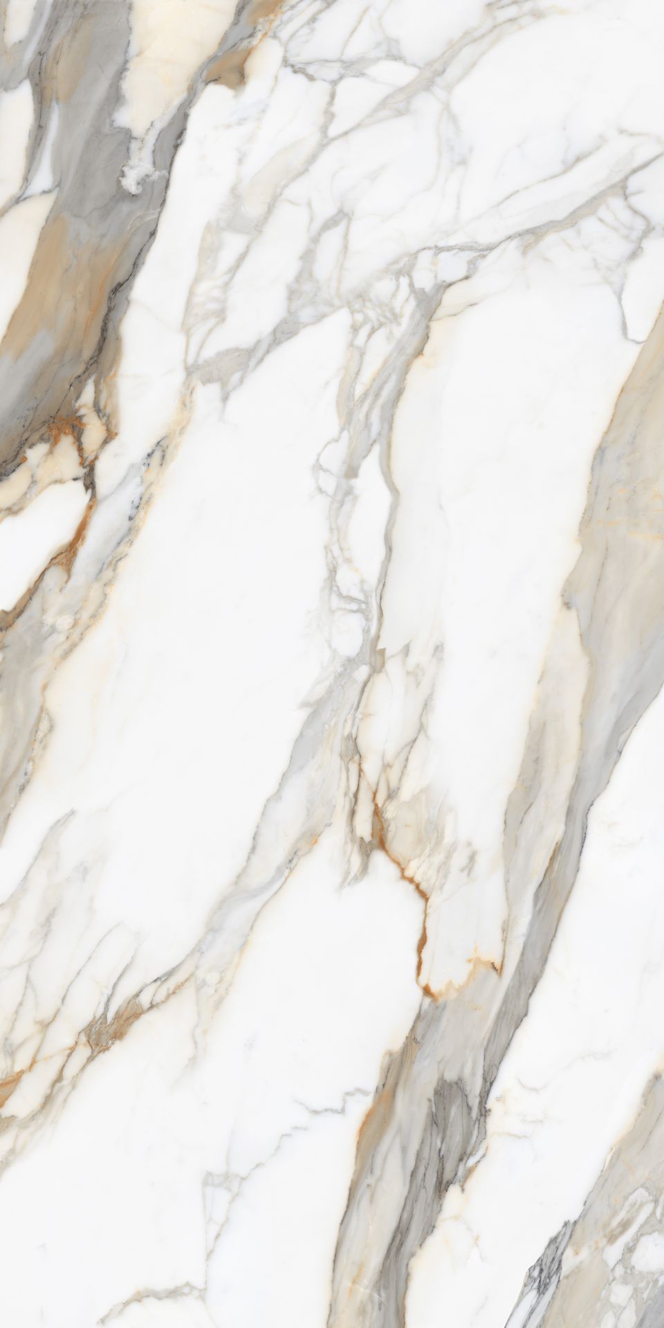 3200×1600 Calacatta Royal A – 12SP Slab