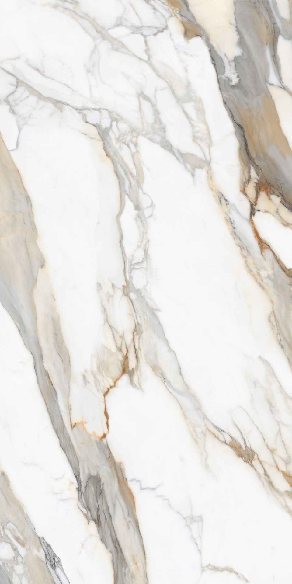 3200×1600 Calacatta Royal A – 12SP Slab