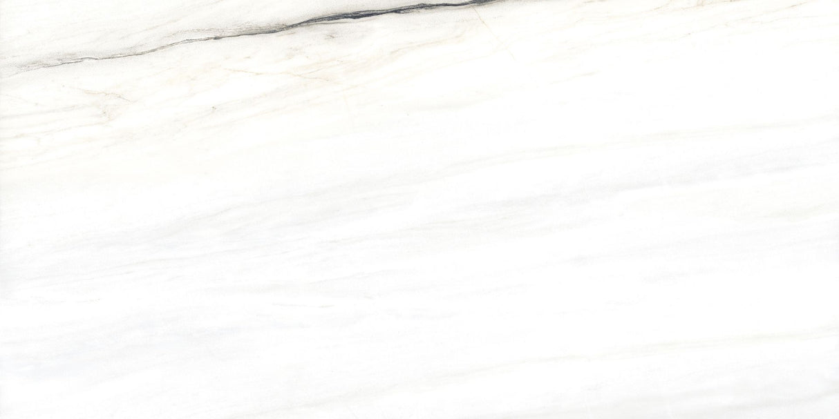 Tile-Leves Bianco Polished