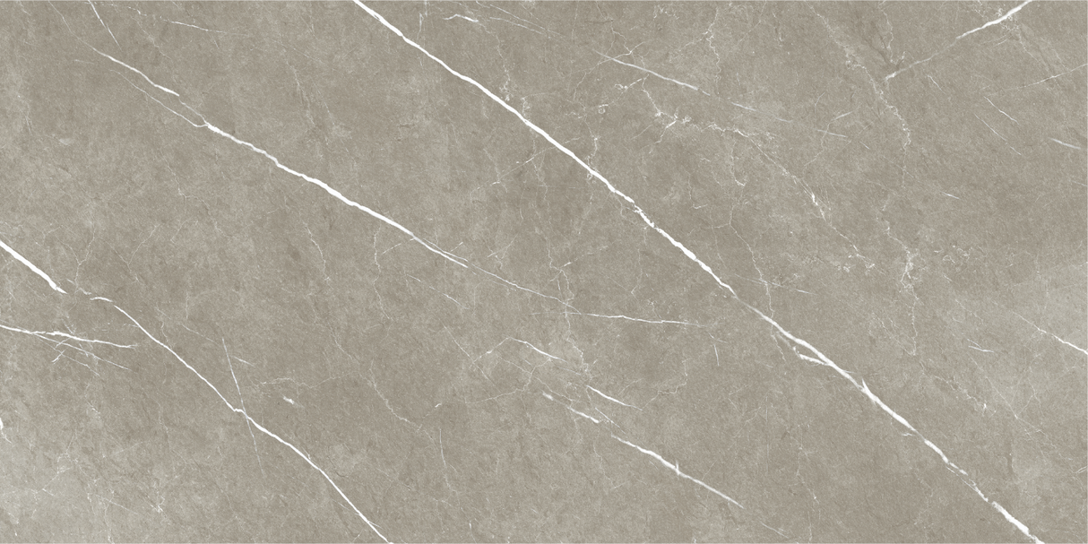 Tile- Eternal Taupe Natural Rect.