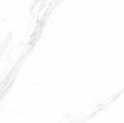 Tile 21391 FL