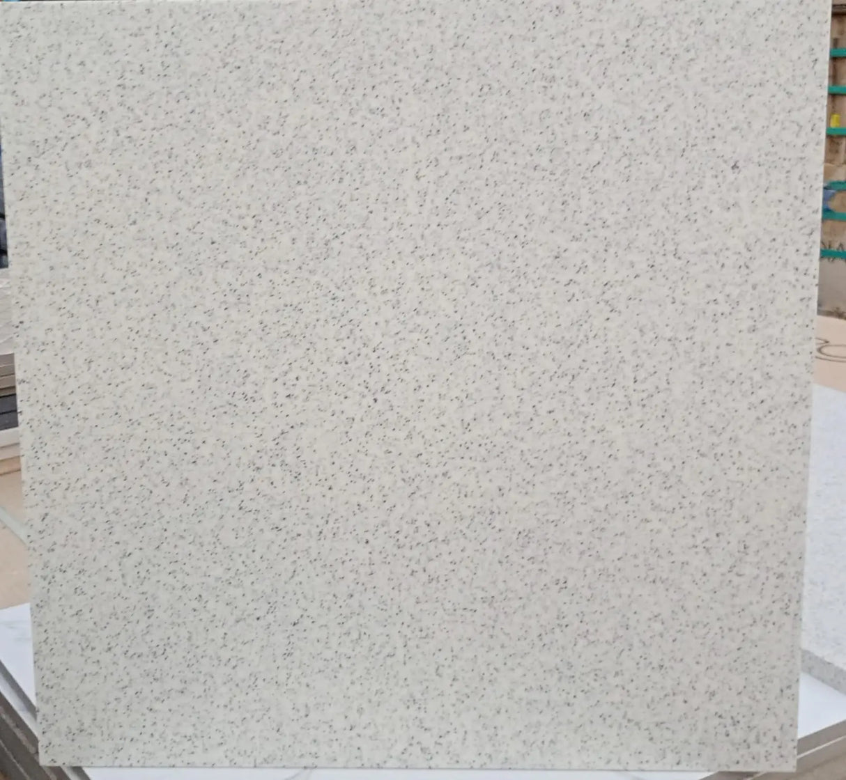 300*300 12SP Ermine White Matt (6,0.54)