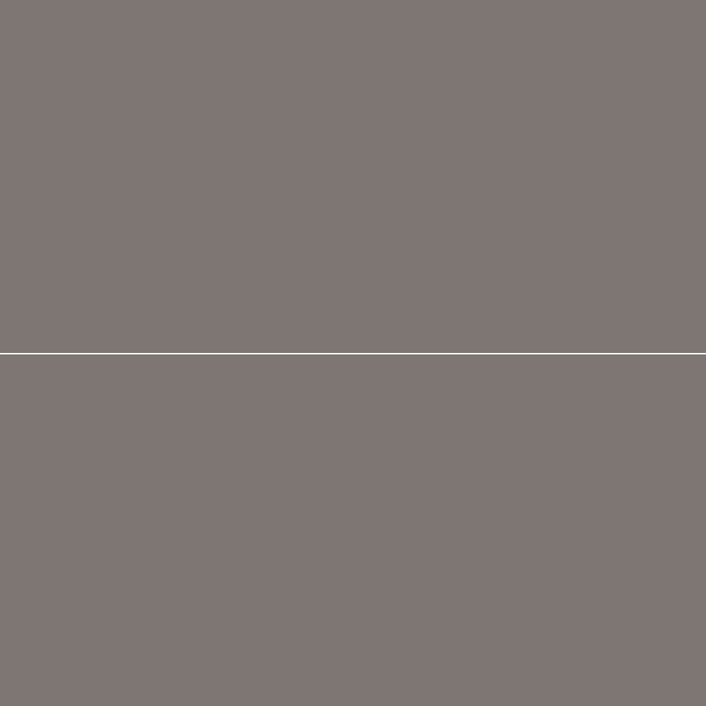 300*600 Carpenter Grey -antibacterial Colored Body