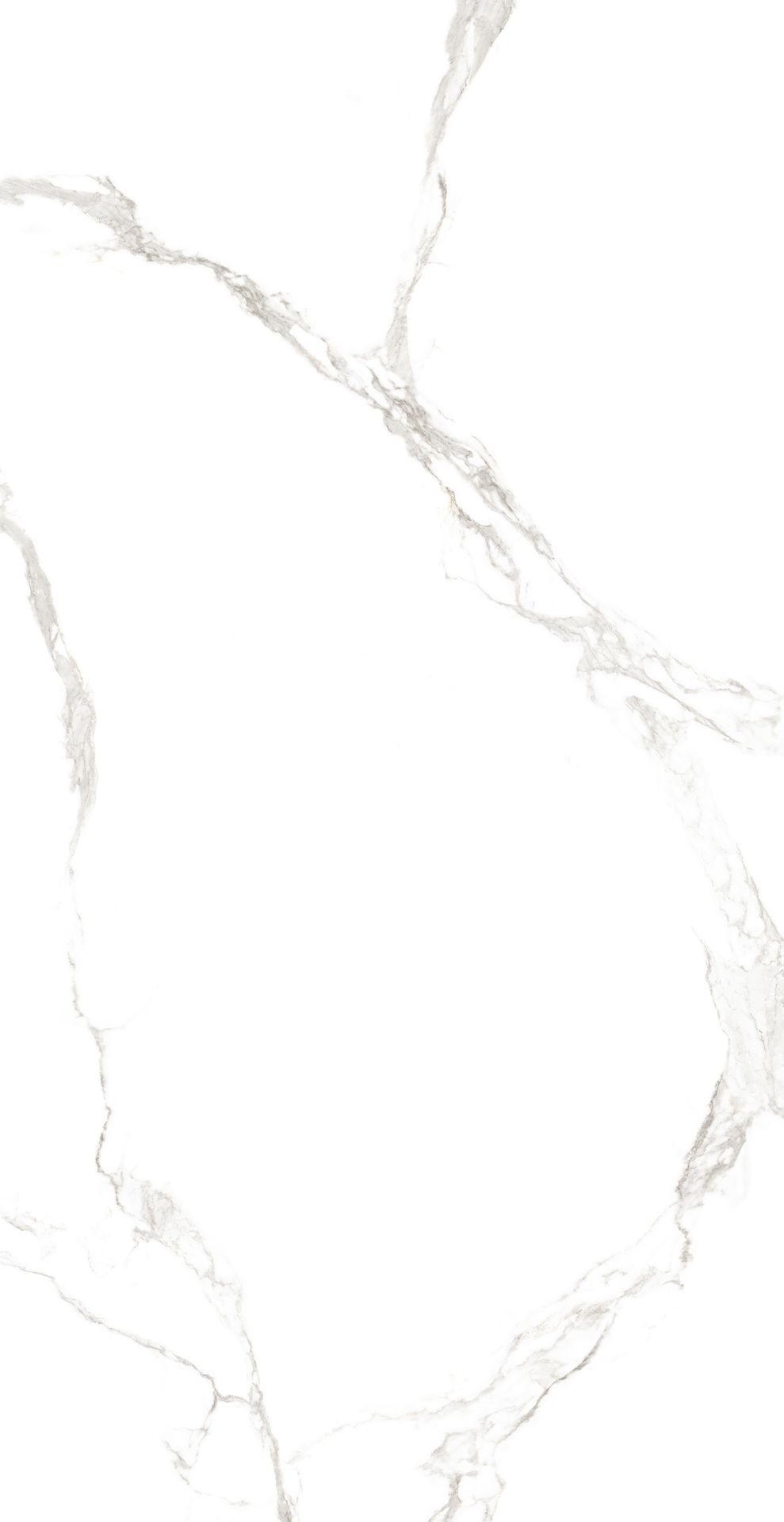 Tile-Lorenzo Statuario (Homogeneous Body Glossy)