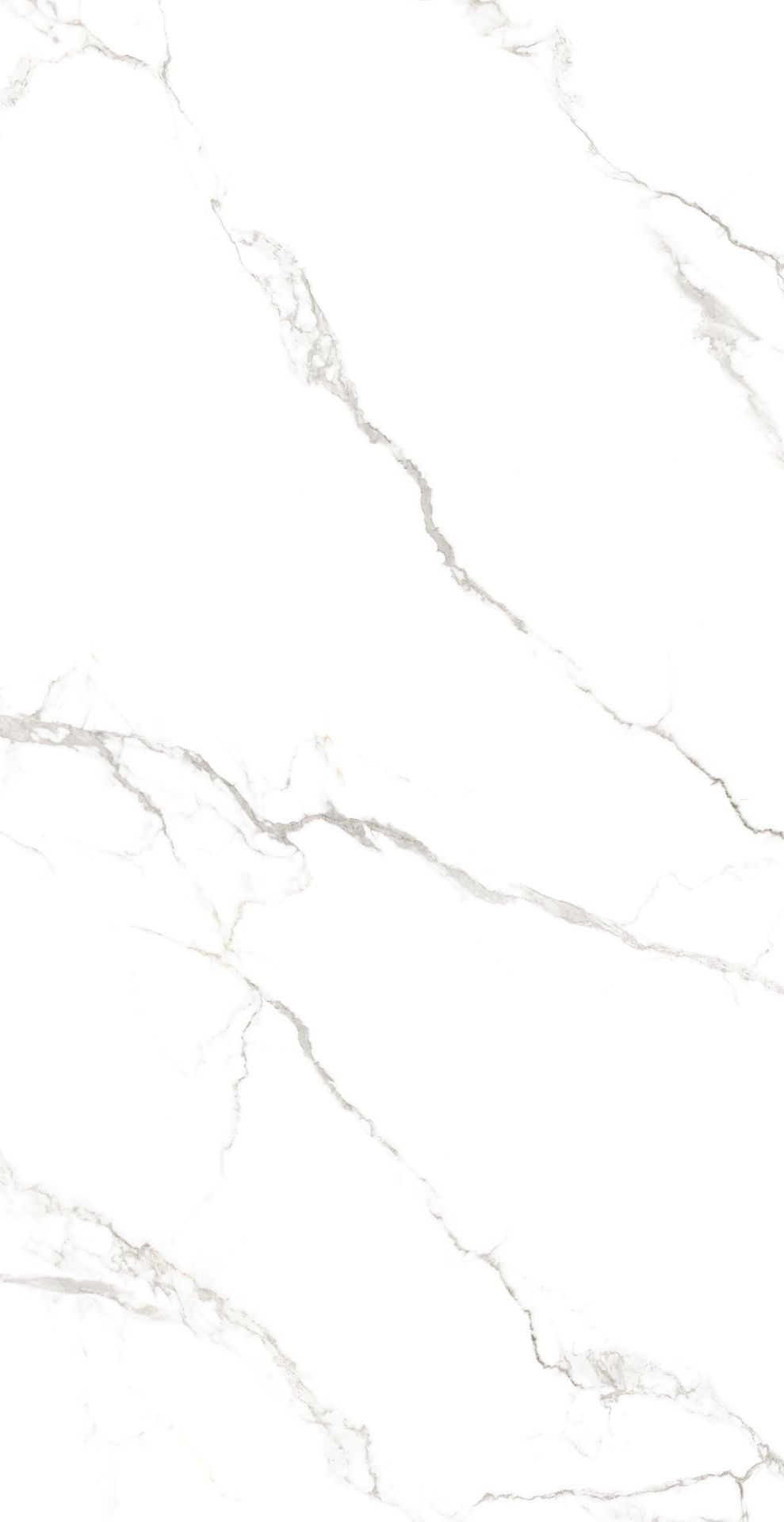 Tile-Lorenzo Statuario (Homogeneous Body Glossy)