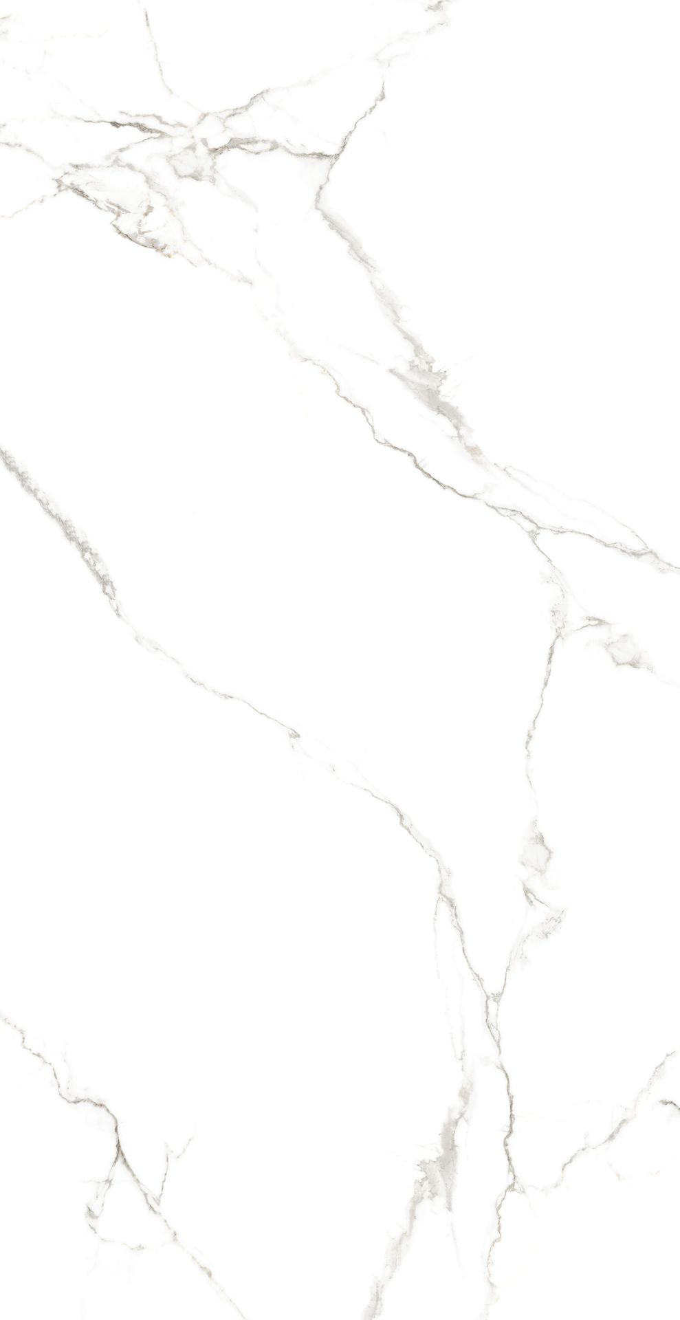 Tile-Lorenzo Statuario (Homogeneous Body Glossy)