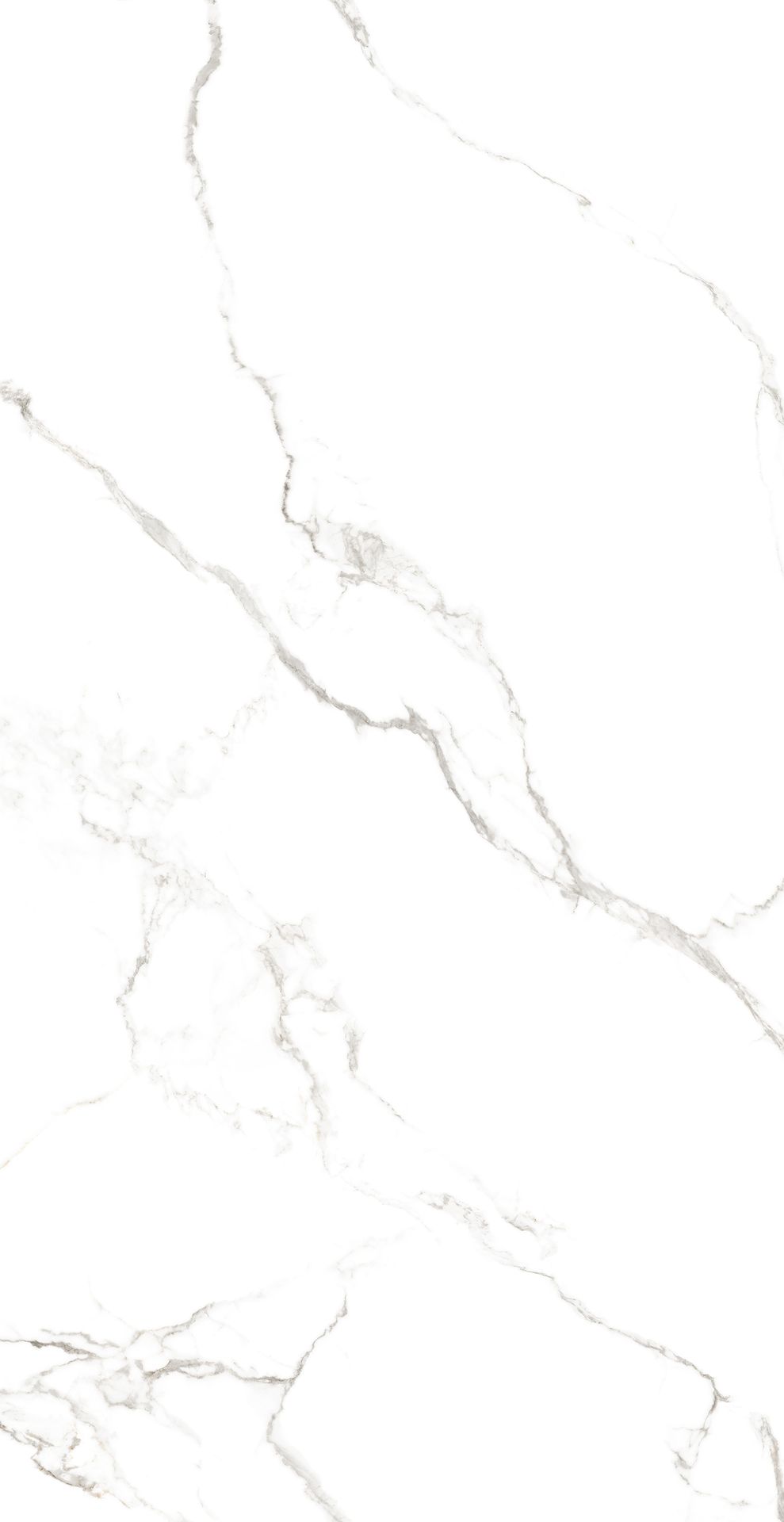 Tile-Lorenzo Statuario (Homogeneous Body Glossy)