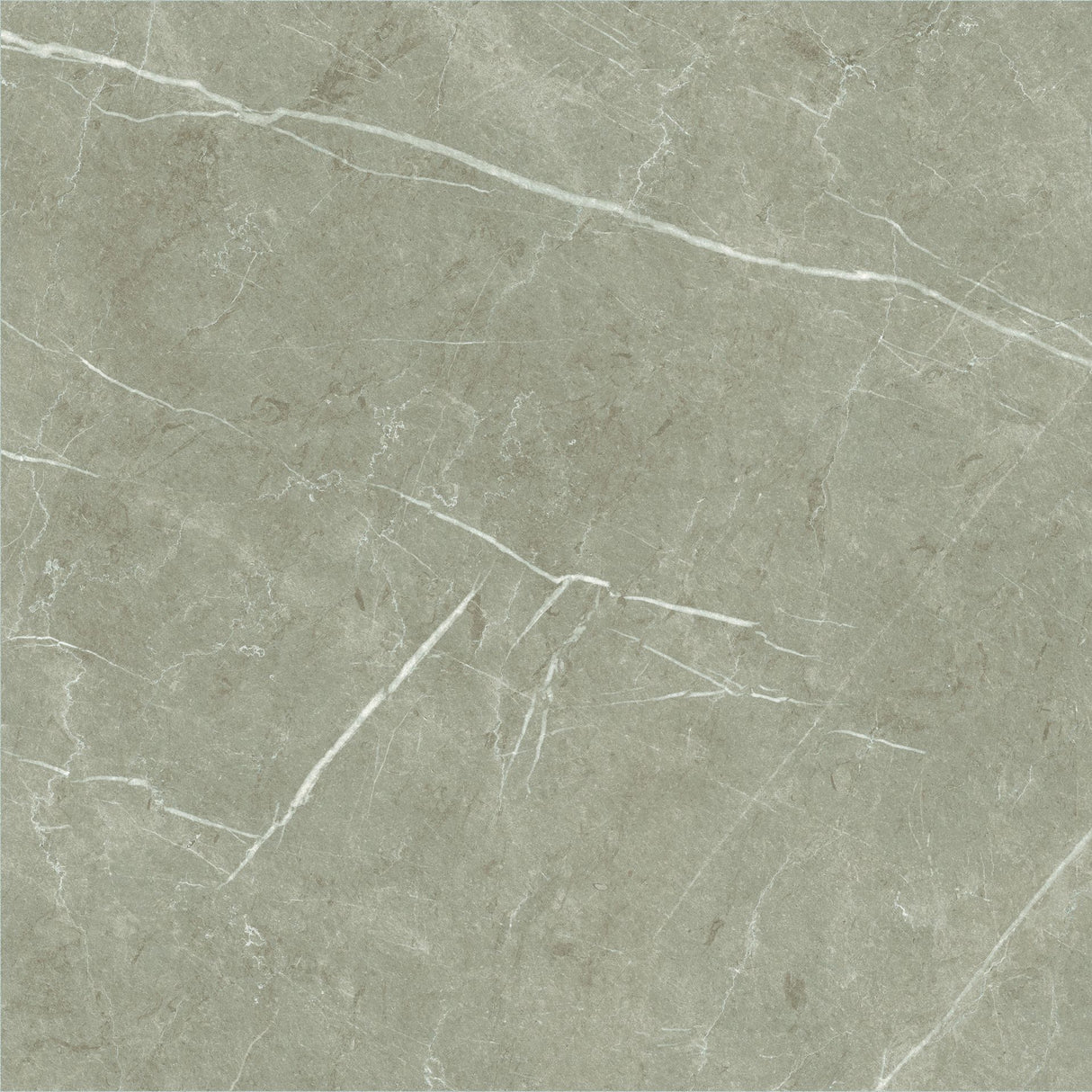 600*600 Eternal Taupe Natural Rectificado (3,1.08)