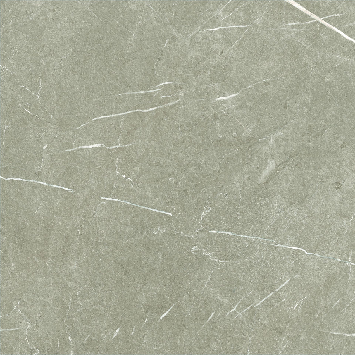 600*600 Eternal Taupe Natural Rectificado (3,1.08)