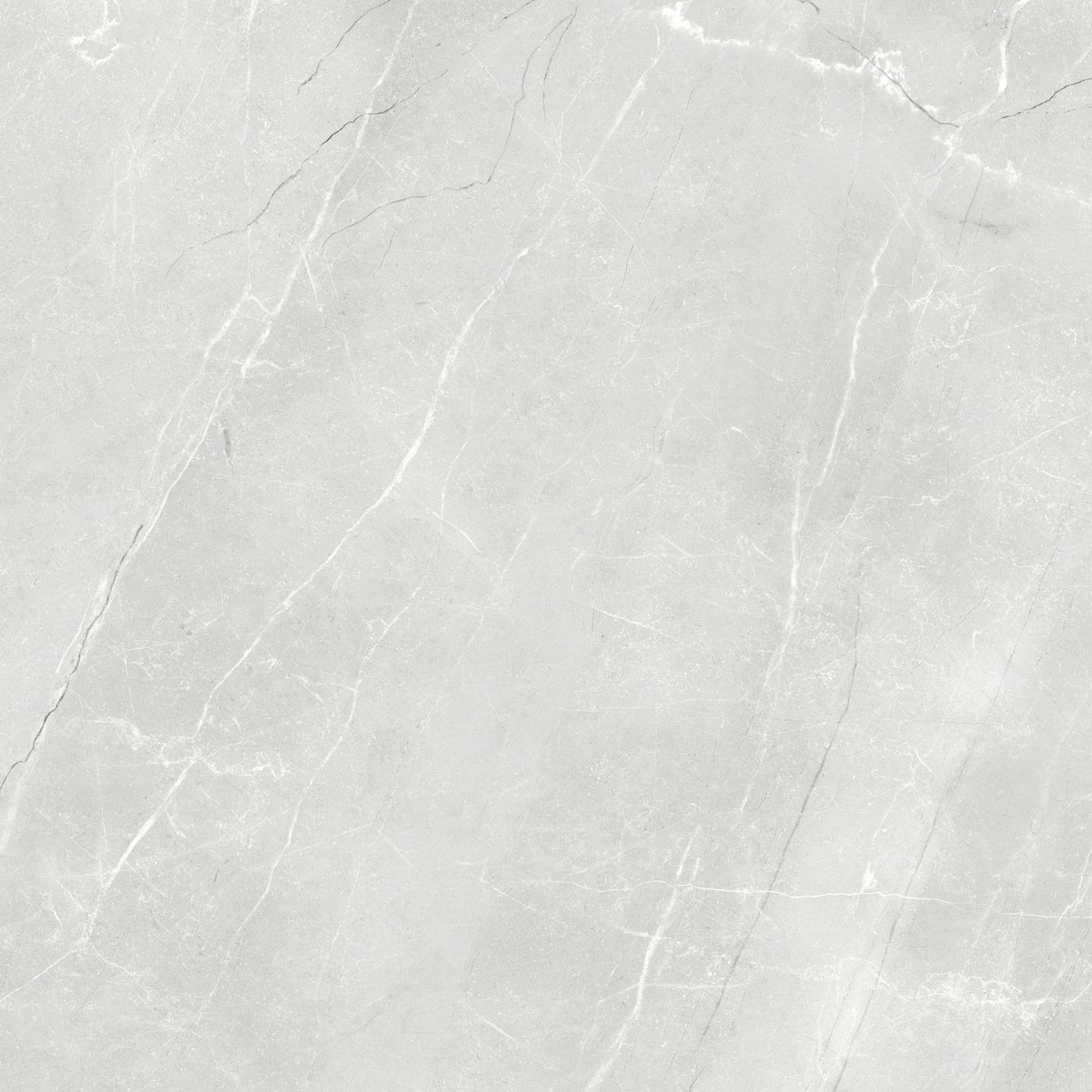 600x600mm Bosco Bianco Polished Tile